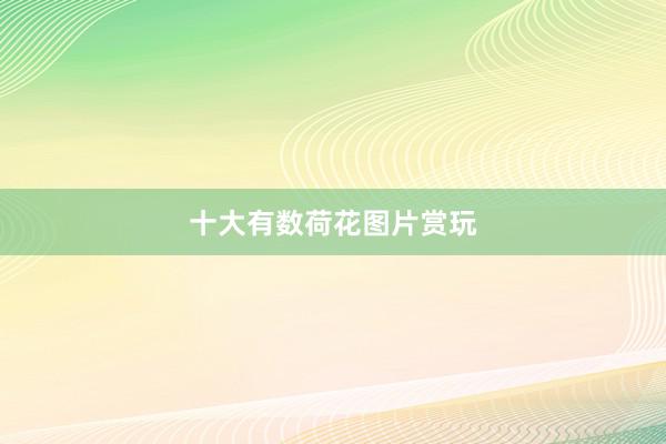 十大有数荷花图片赏玩
