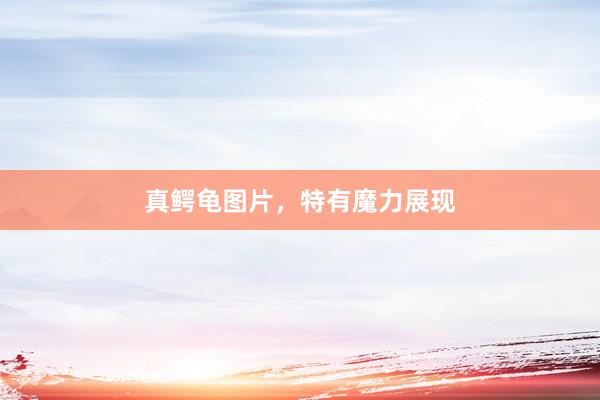 真鳄龟图片，特有魔力展现
