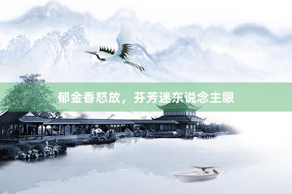 郁金香怒放，芬芳迷东说念主眼